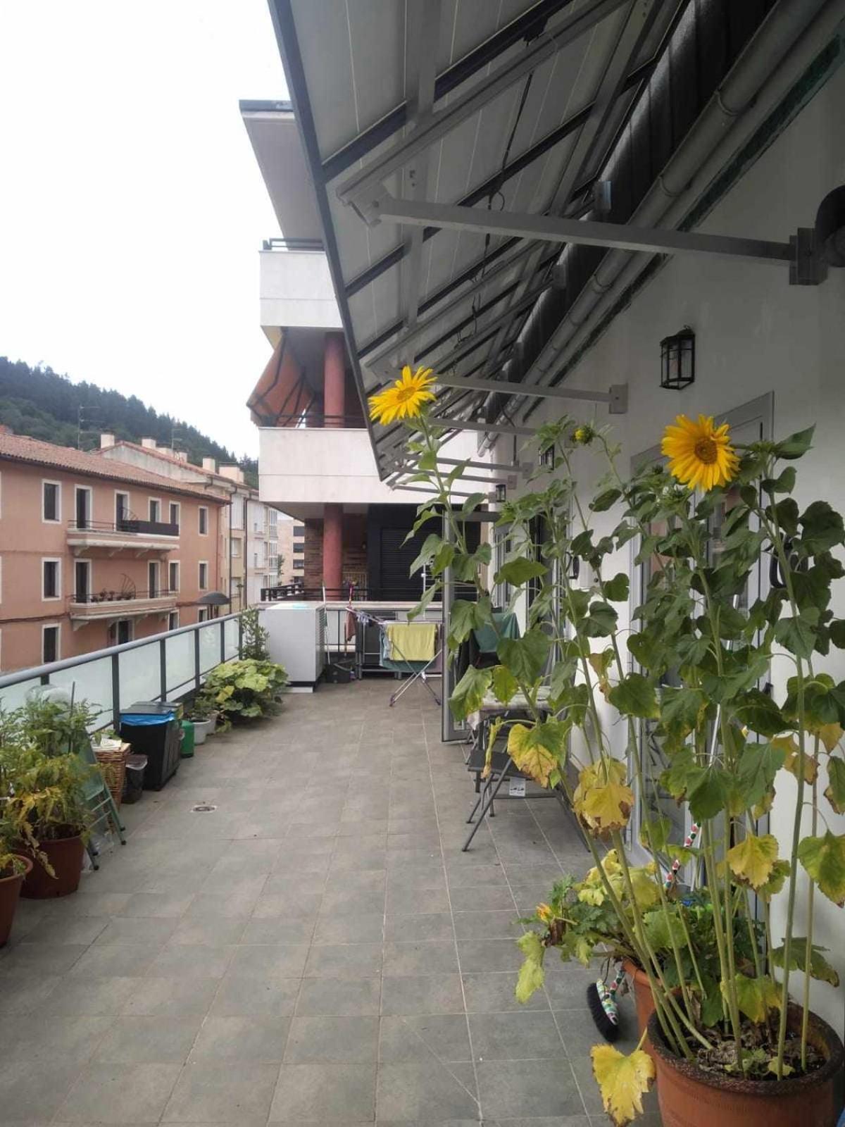 Apartment Aldabea Ii Sostenible
